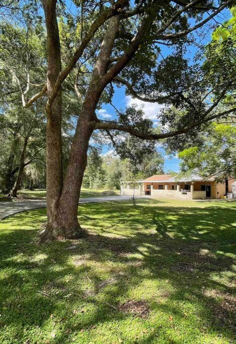 The Piano House Villa Orlando Exterior photo